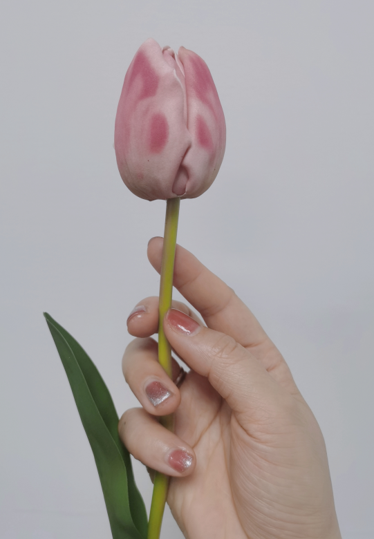 1678271282148758.png image.png